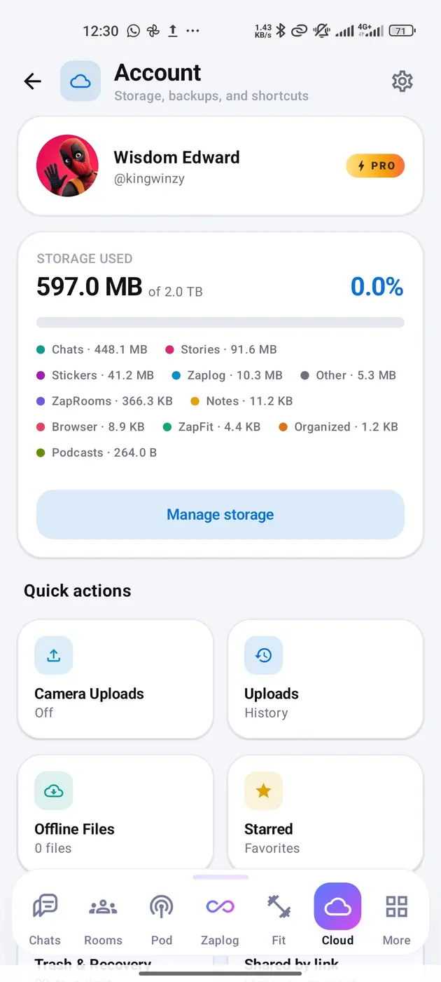 The Cloud Account screen: 597 MB of 2 TB used, broken down by Chats, Stories, Stickers and more, a Manage storage button, and quick actions for camera uploads, upload history, offline files and starred.