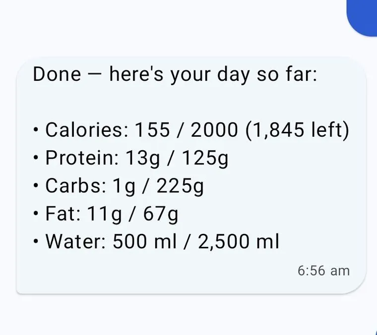 Zappy queues “two boiled eggs” for today’s meals in ZapFit and, once confirmed, returns the day so far: 155 of 2000 calories, 13g of 125g protein, 1g of 225g carbs, 11g of 67g fat and 500ml of 2,500ml water.